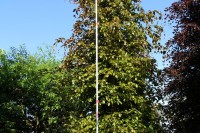 ARS EXP-5.5 profesionālais teleskopiskais alumīnija kāts (2.18 m – 5.61 m)