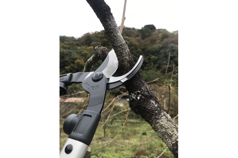 Zaru grieznes ARS LPB-30M 