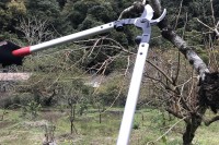 Zaru grieznes ARS LPB-30M 