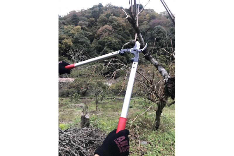 Zaru grieznes ARS LPB-30M 