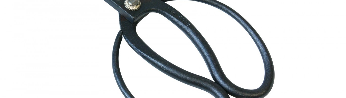 Koryu jeb vecā skola.