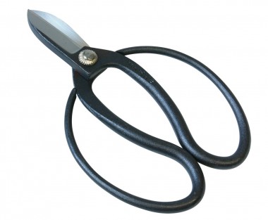 Koryu jeb vecā skola.