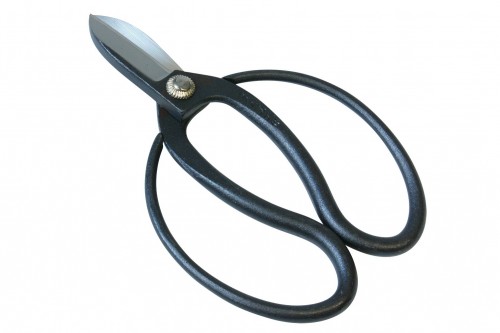 Koryu jeb vecā skola.