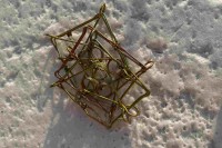 Bebru slazds rāmjveida Igauņu CINKOTS