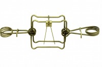 Bebru slazds rāmjveida Igauņu CINKOTS