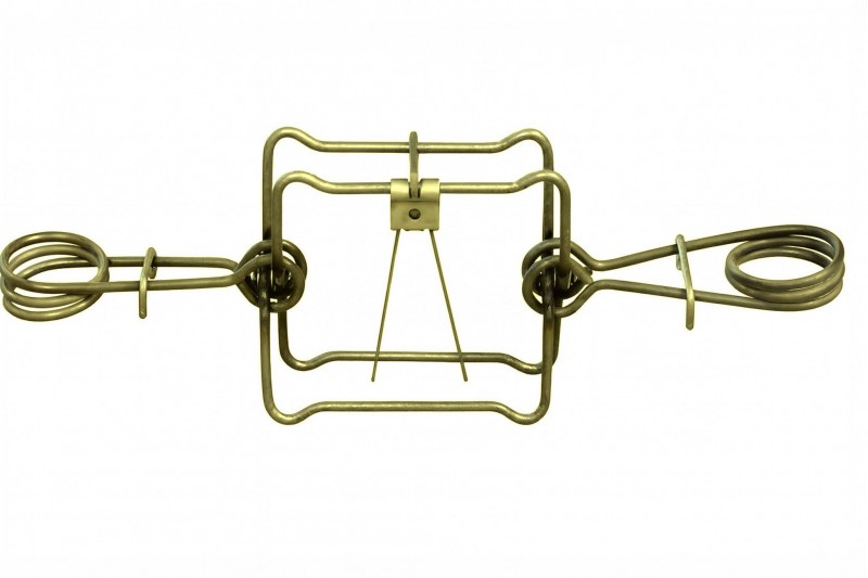 Bebru slazds rāmjveida Igauņu CINKOTS