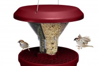 Putnu barotava  gudrie Putni Swissinno DAVOS Tumši sarkana burgundy tonis