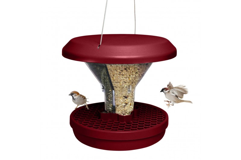 Putnu barotava  gudrie Putni Swissinno DAVOS Tumši sarkana burgundy tonis