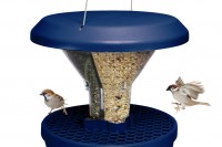 Putnu barotava  gudrie Putni Swissinno DAVOS Zila